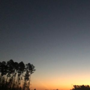 Meet your Posher, Kerri